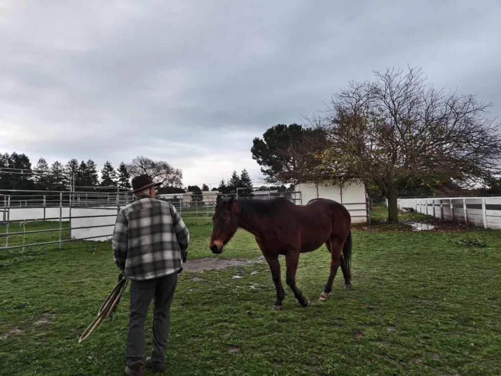金马小记：从基础建设到比特币